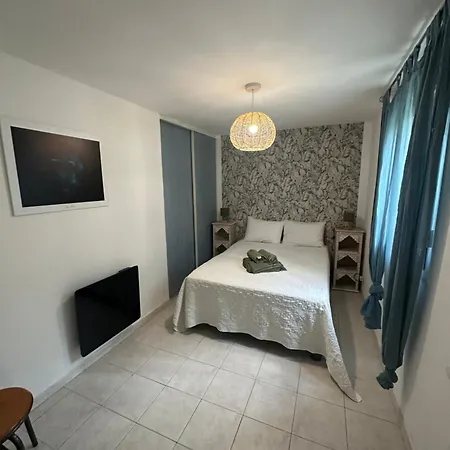 Grand Spacieux 3 Ch Rez De A Appartement *